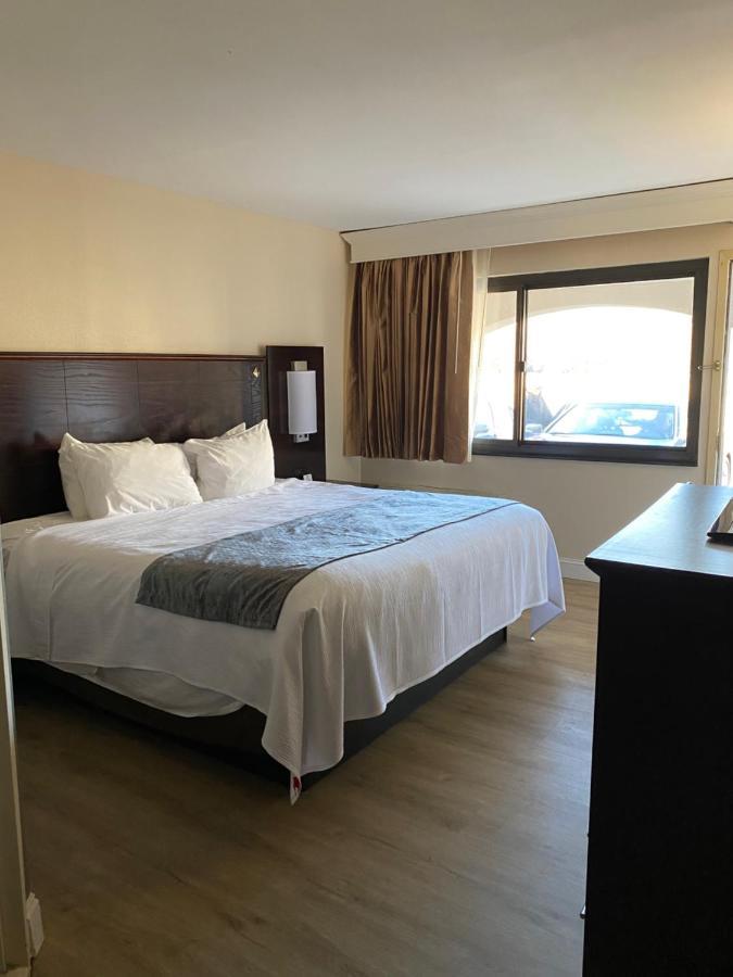 Best Western Bar Harbour Inn Massapequa Park Extérieur photo